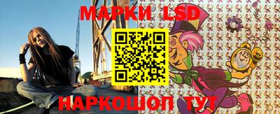 индика Гай