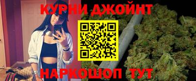 индика Гай