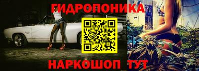 индика Гай