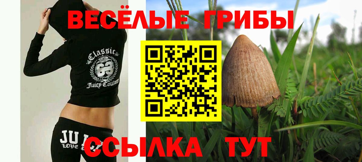 Галлюциногенные грибы ЛСД Северск